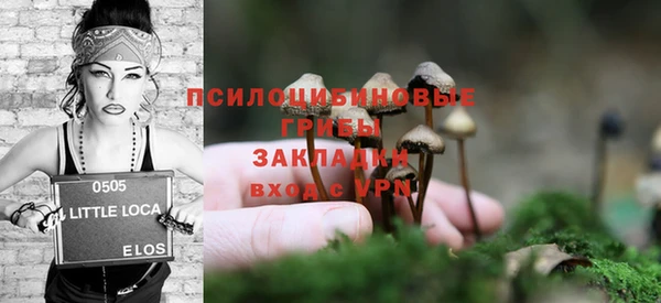прущий лед Алексеевка