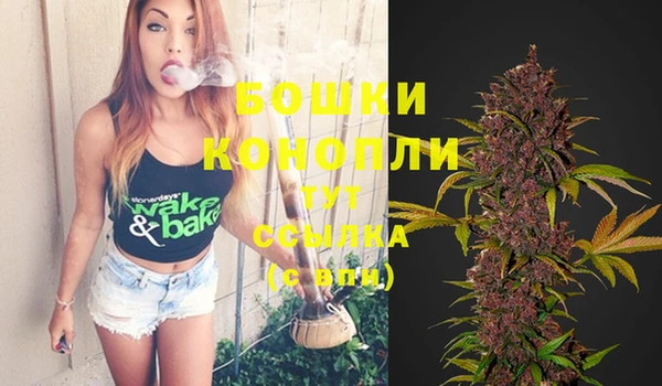спиды Липки