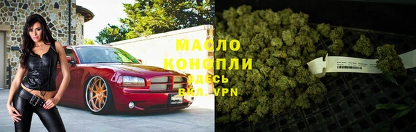 стаф Ладушкин